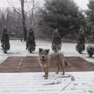 Meet your Posher, Sonia